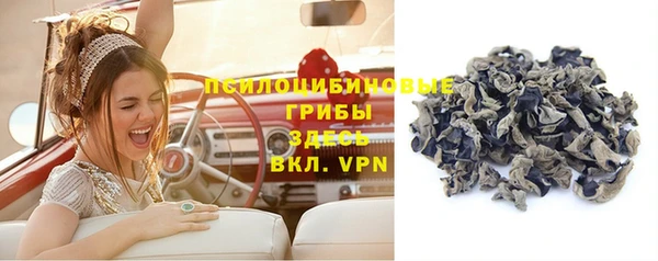 мяу мяу мука Новокубанск