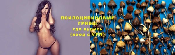 винт Нефтегорск