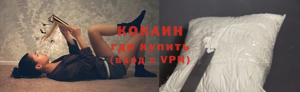 гашик Новодвинск
