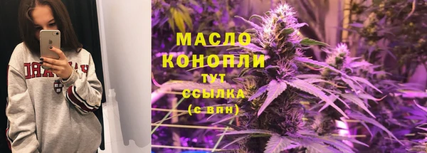 гашик Новодвинск