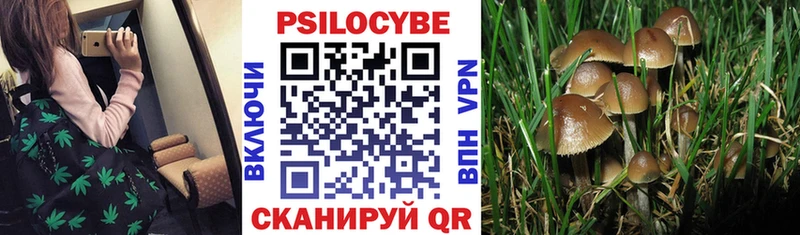 hydra онион  Подпорожье  Галлюциногенные грибы GOLDEN TEACHER 